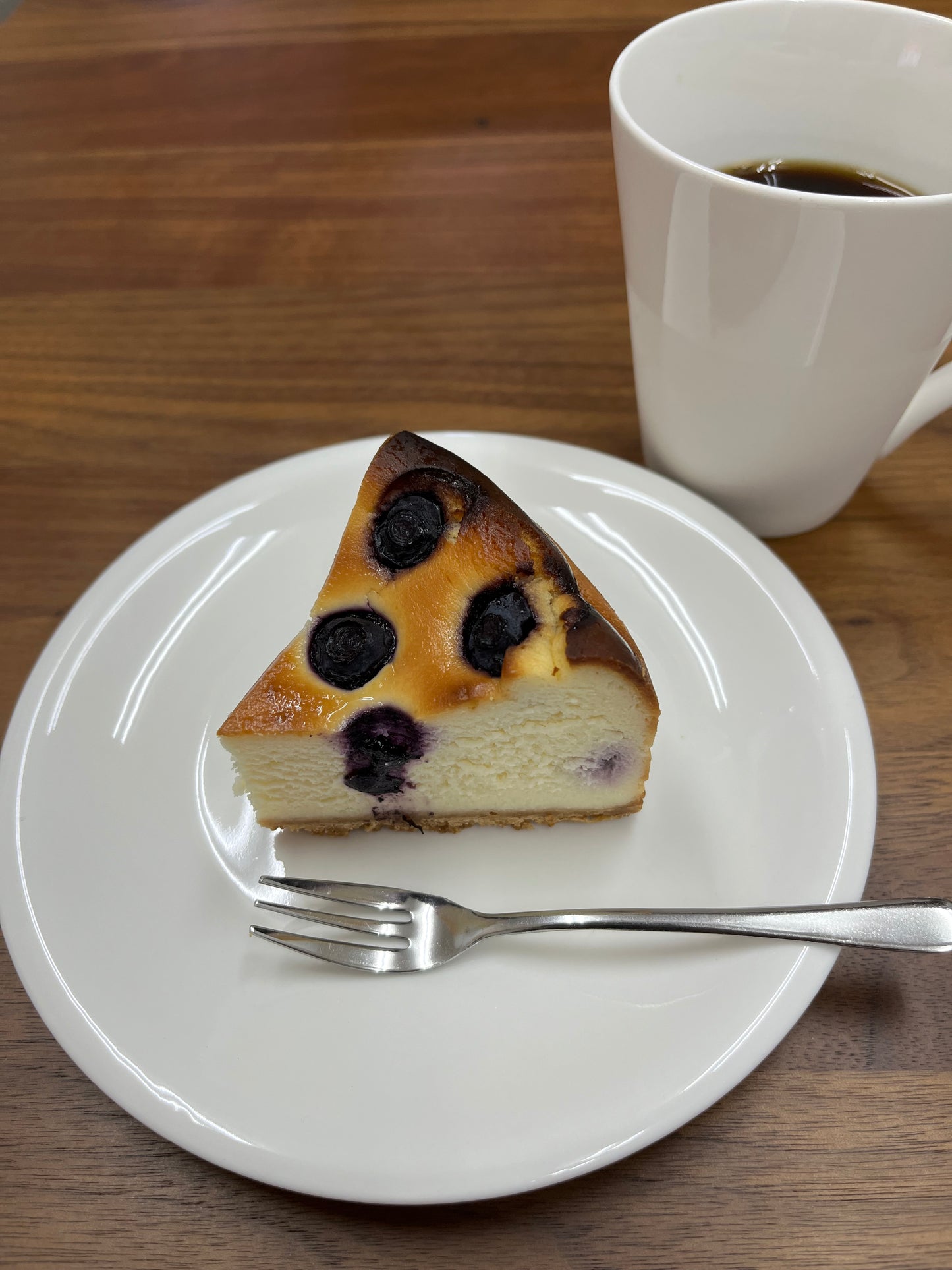 Blueberry Baked Cheesecake